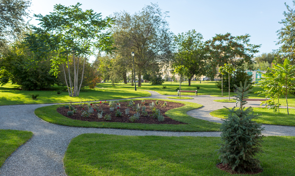Landscapeing