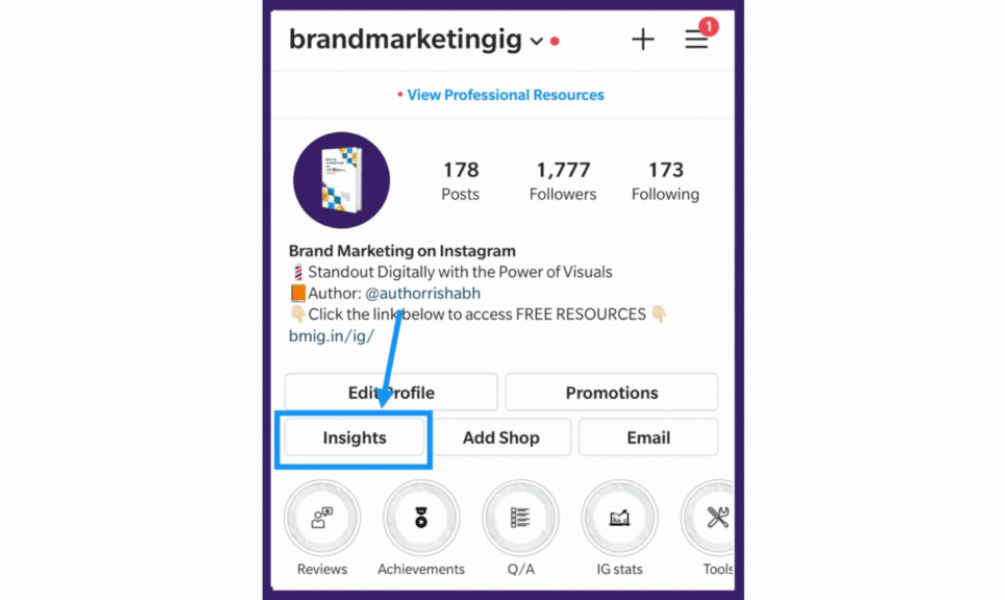 Instagram Profile Visits