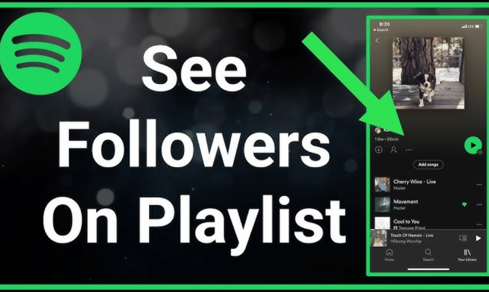 Spotify Followers