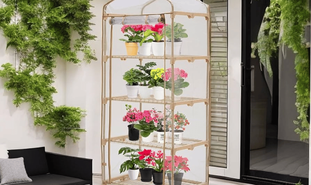 Green House