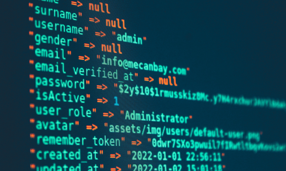 Data Encryption and Security Audits