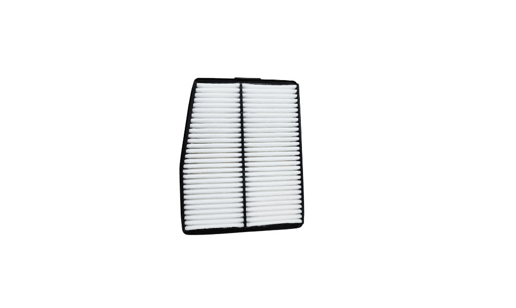28113-L1000	   AIR FILTER-HYN-SANTAFE