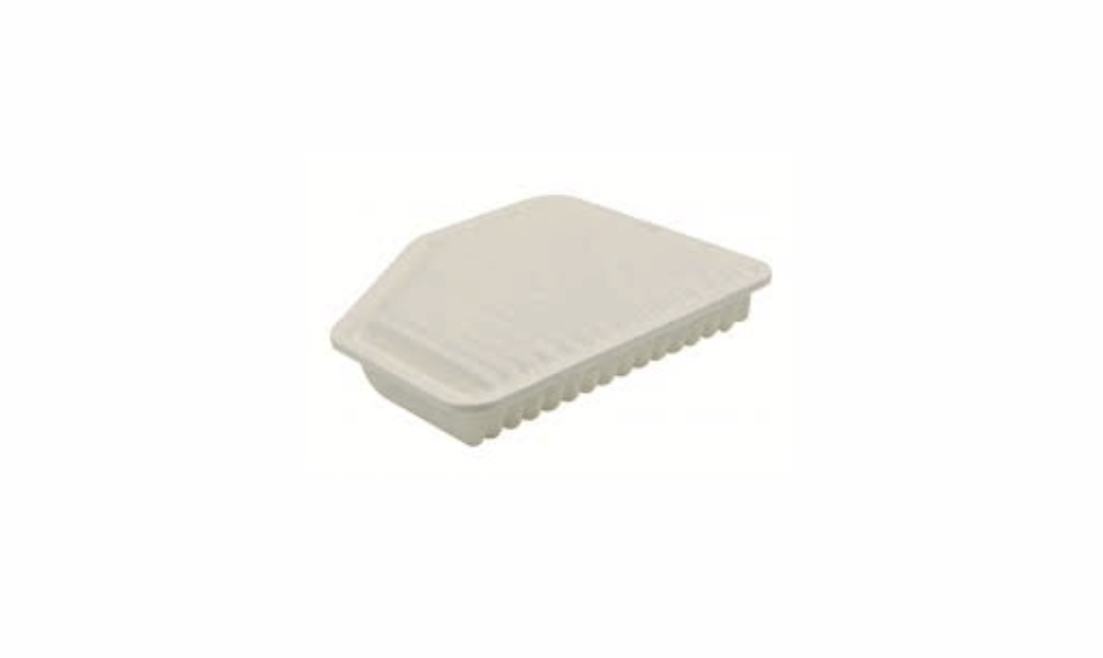 17801-50060	   AIR FILTER-LEX GS300/GS430