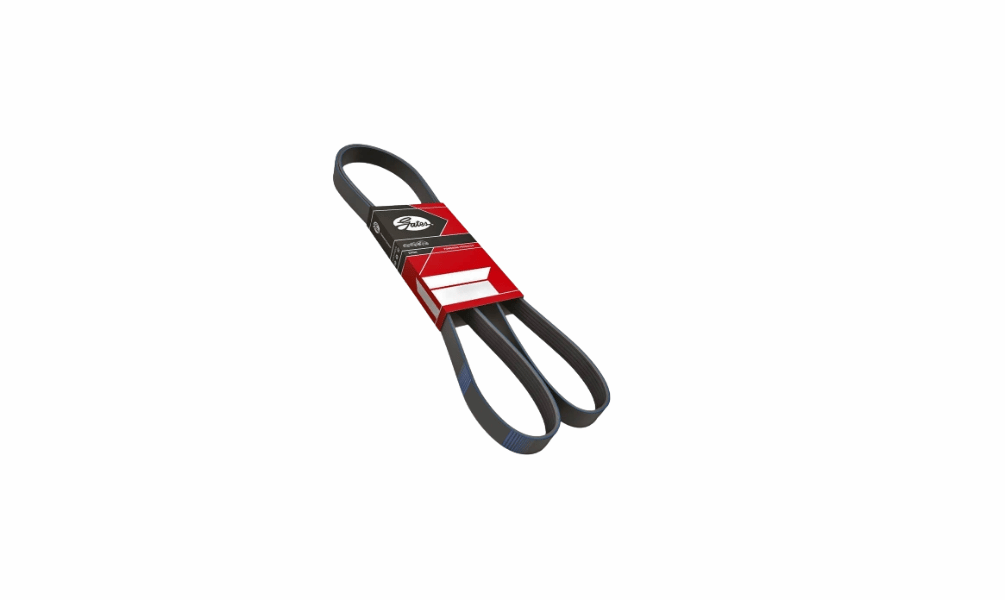 6PK 1255	6PK 1255 BELT