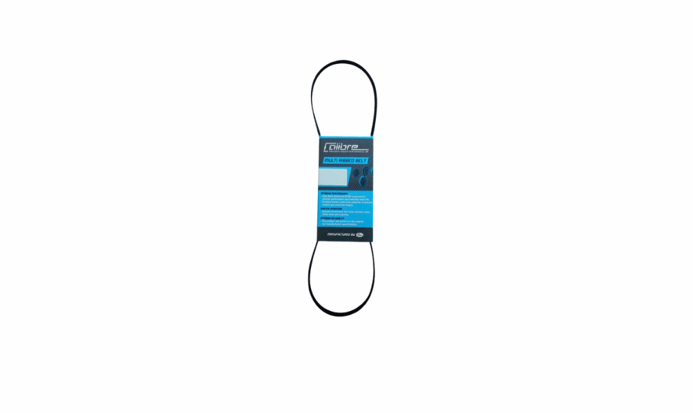 6PK1005	BELT 6PK1005